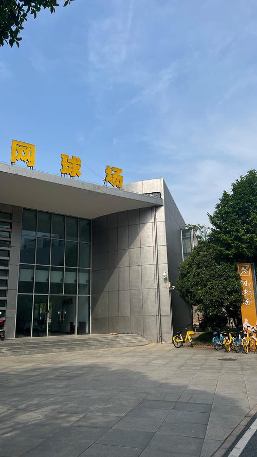节奏选择权